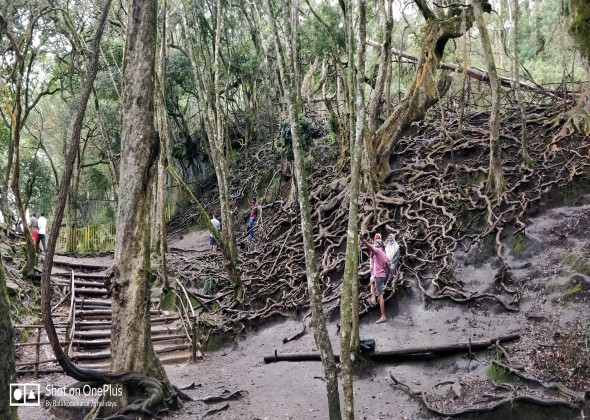 7gholidaysbala, Kodaikanal-tours-and-travels