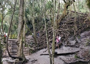 7gholidaysbala, Kodaikanal Cab Services