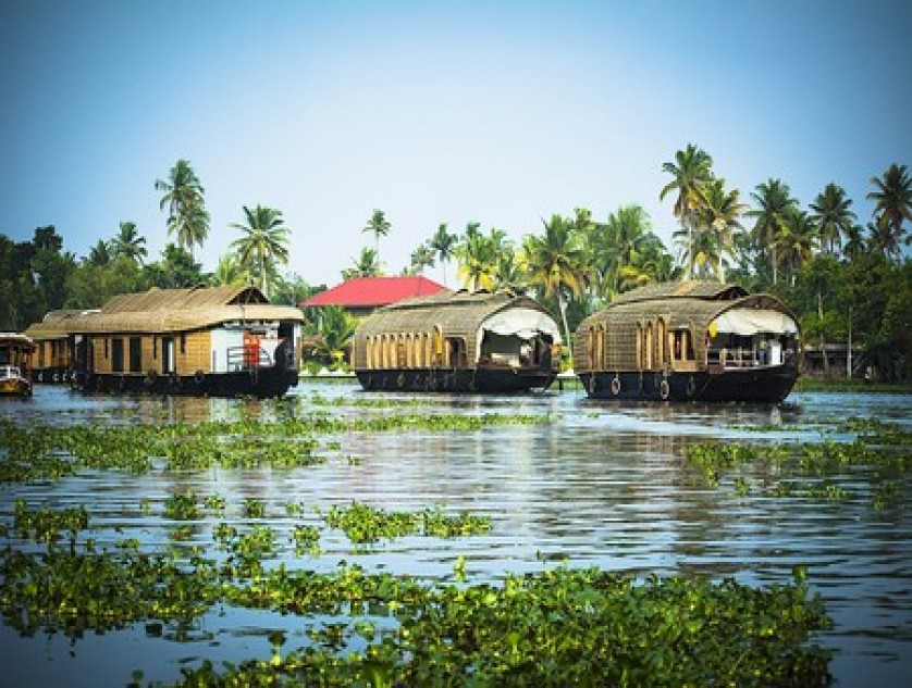  Alleppey Houseboat /Kerala Boat House Booking Online